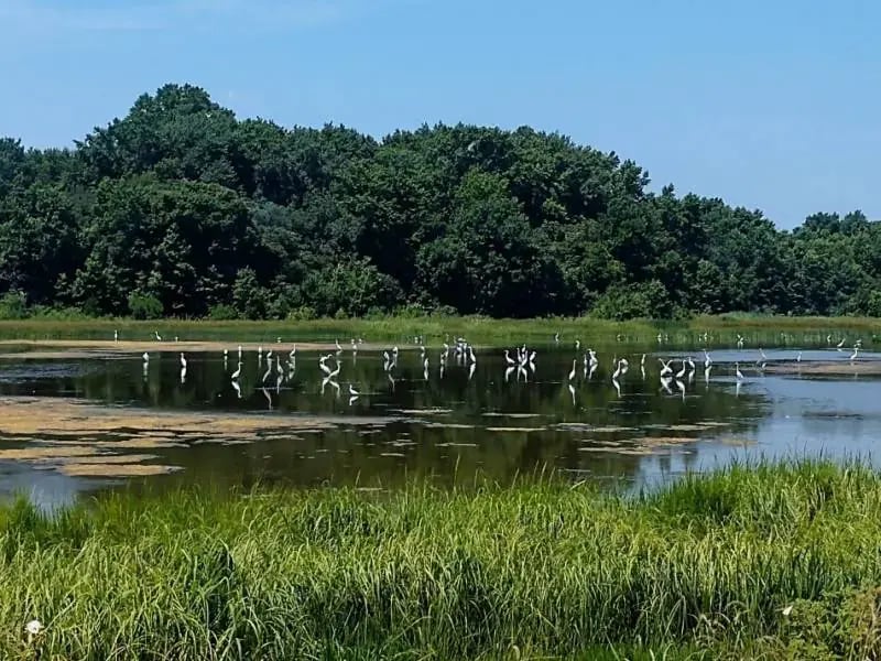 Visit Central Delaware