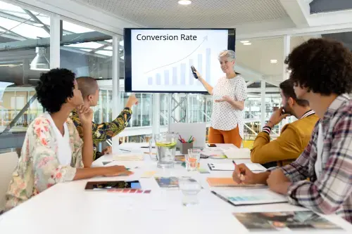 Conversion Strategy & Audience Analysis