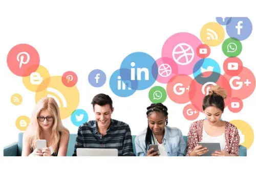 Audience Insights & Targeting Refinement